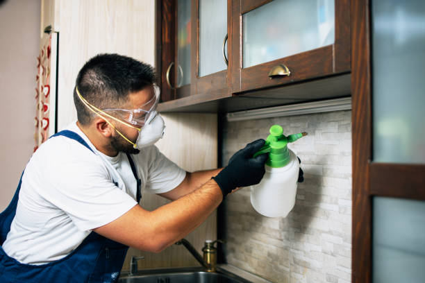 Best Best Pest Control Companies  in Fridley, MN