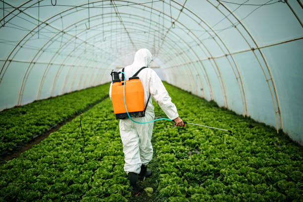 Best Best Pest Control Companies  in Fridley, MN