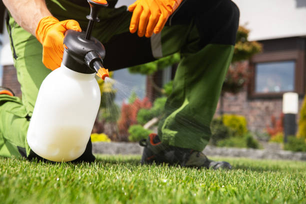 Best Residential Pest Control  in Fridley, MN