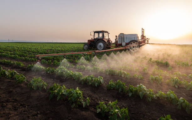 Best Pest Removal Services  in Fridley, MN