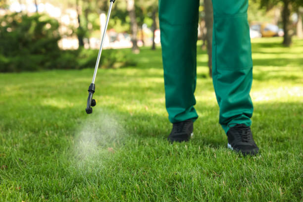 Best Emergency Pest Control  in Fridley, MN