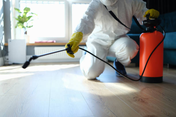 Reliable Fridley, MN Pest Control Solutions