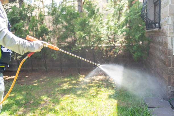 Best Spider Control Near Me  in Fridley, MN