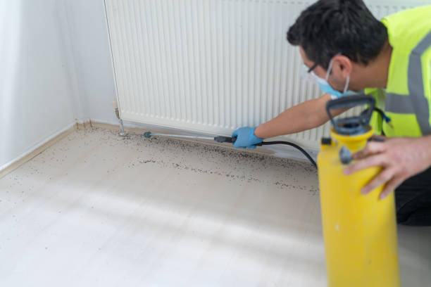 Best Commercial Pest Control Services  in Fridley, MN