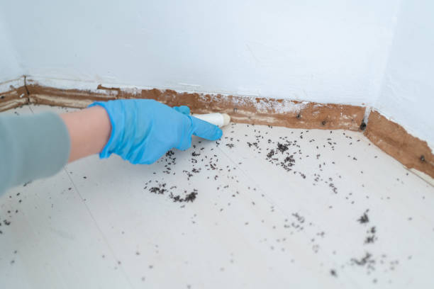 Fridley, MN Pest Control Pros