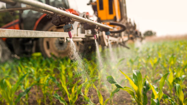 Best Wildlife Control Services  in Fridley, MN